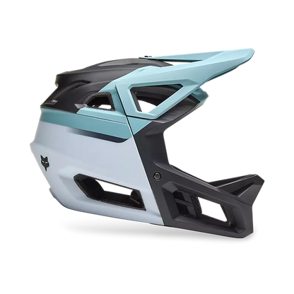Fox Racing Proframe Rizer Full Face Helmet